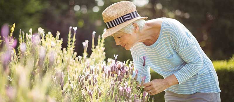 retiree gardening